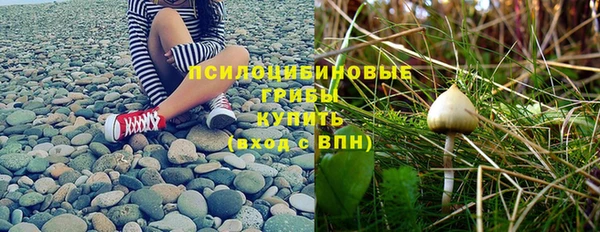 кокс Няндома