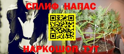 прущие грибы Ливны