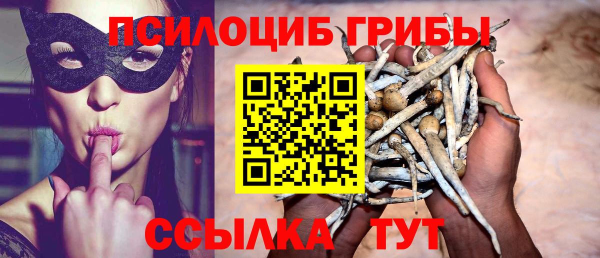 Псилоцибиновые грибы мухоморы  Галлюциногенные грибы Psilocybine cubensis  Вход с VPN  Похвистнево 