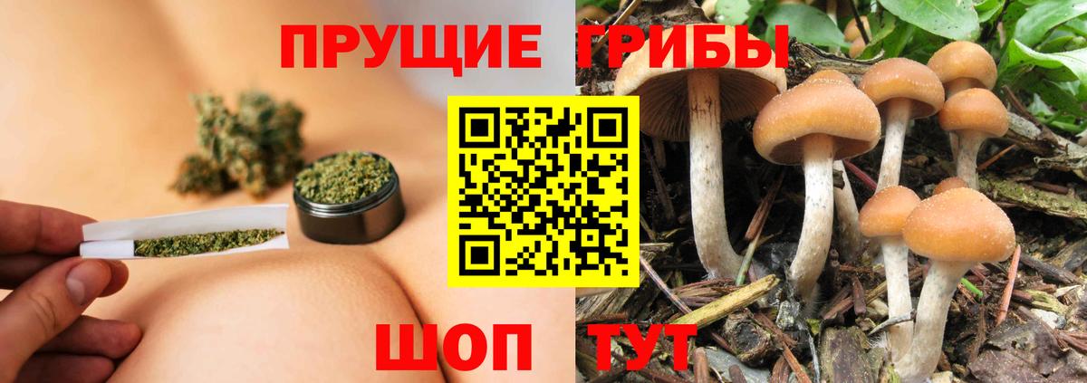 Псилоцибиновые грибы MAGIC MUSHROOMS Похвистнево